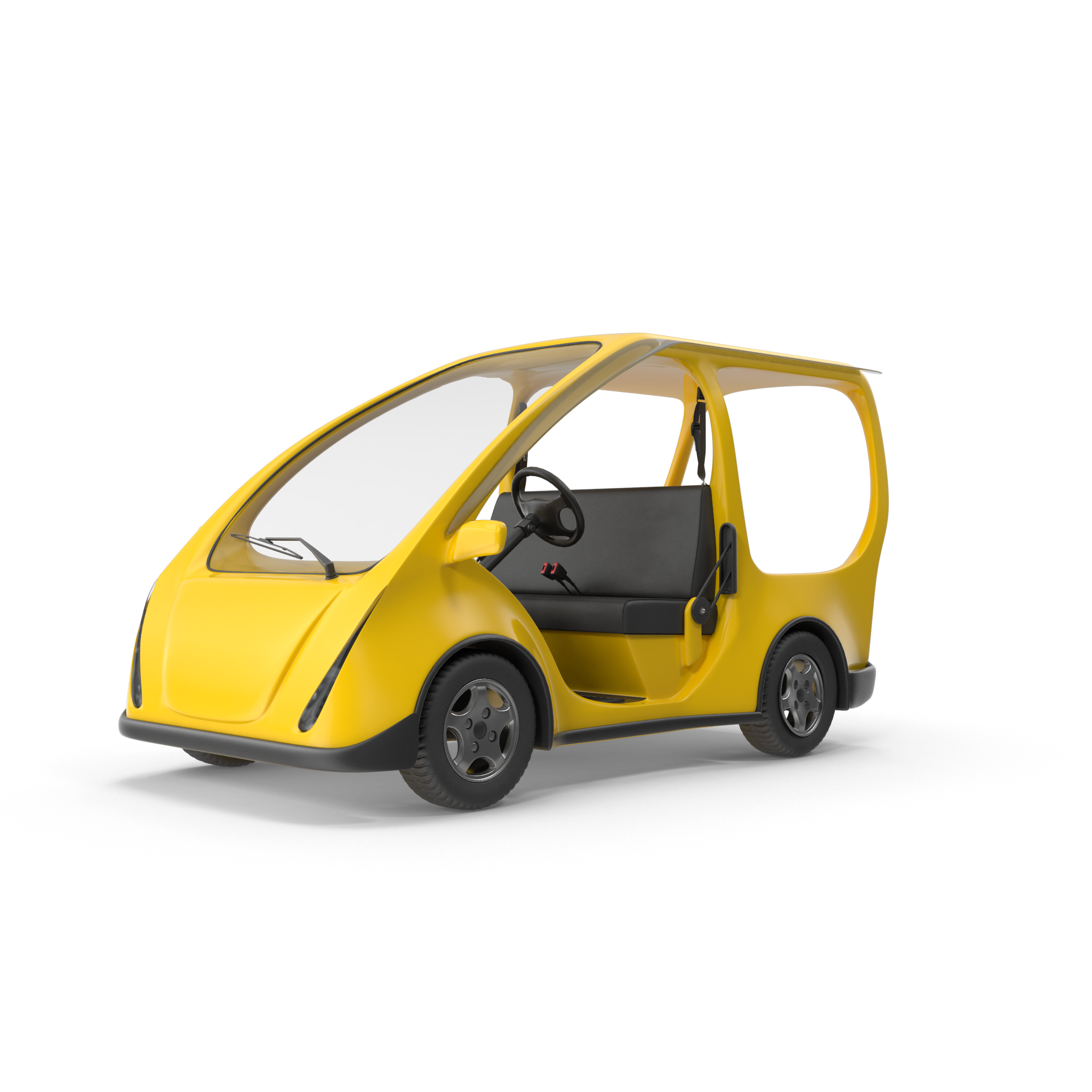 MNeighborhood Electric Vehicle
